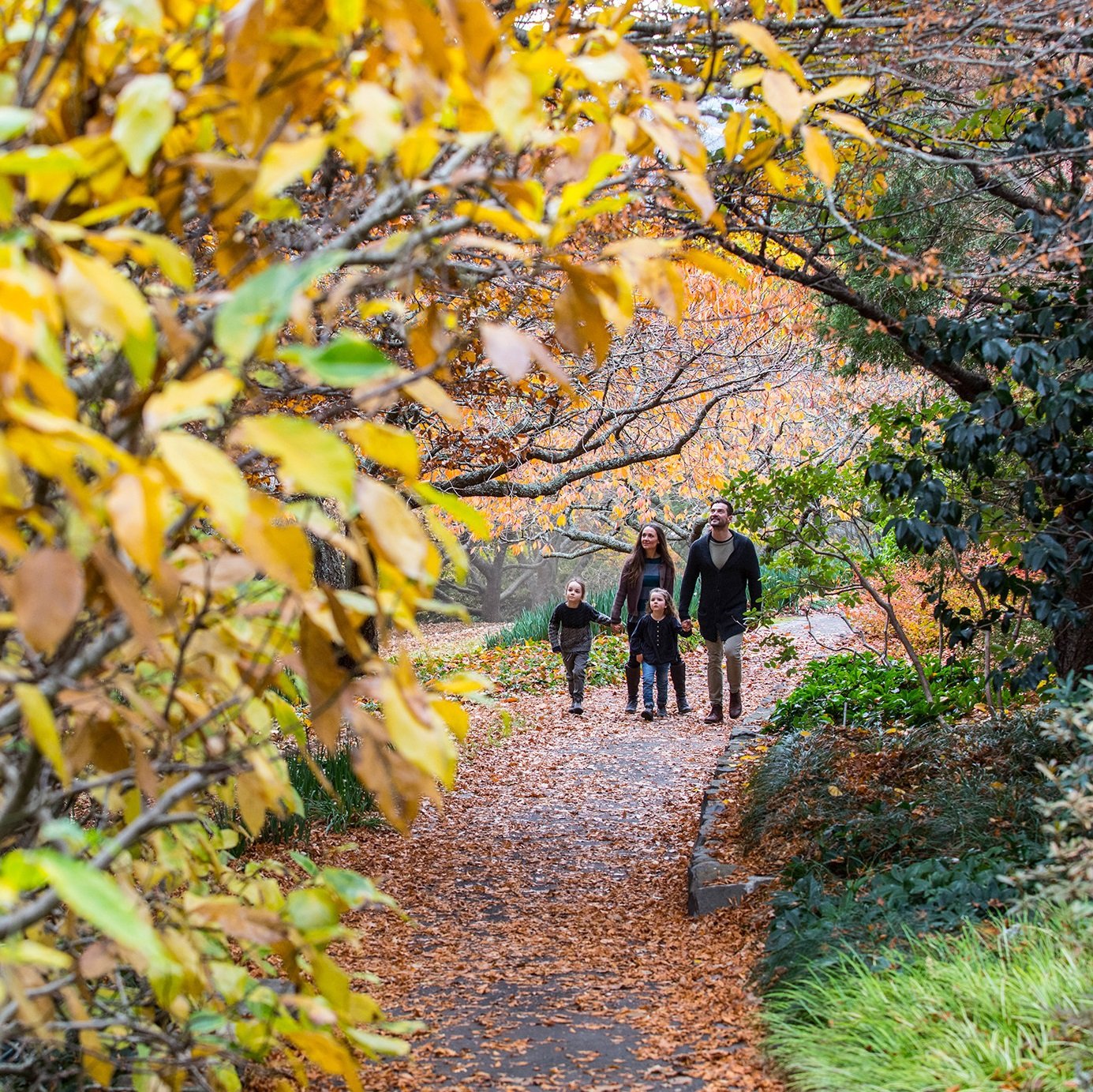Family enjoying a visit to the Blue Mountains Botanic Garden in Mount Tomah, Blue Mountains.